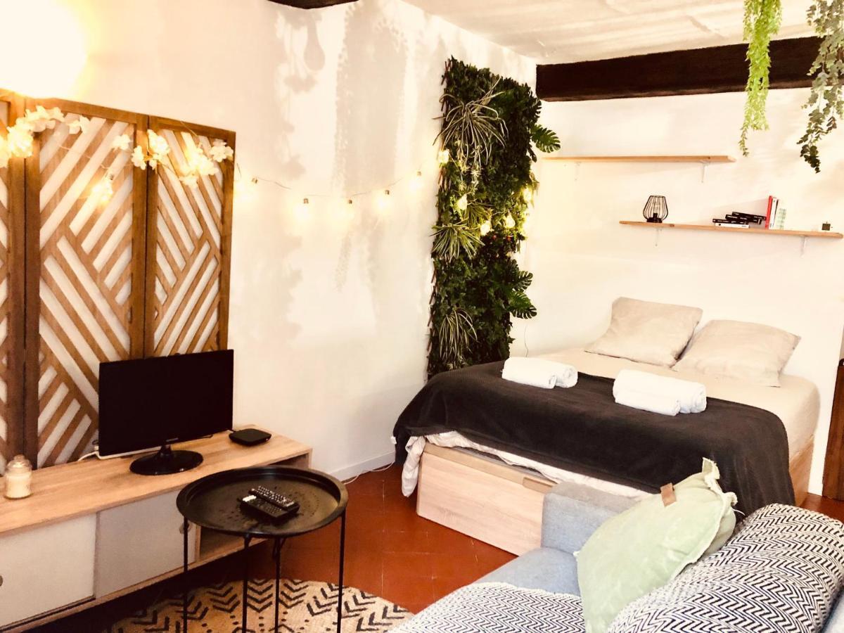 Jungle Hyper Centre Apartment Nîmes Exterior photo